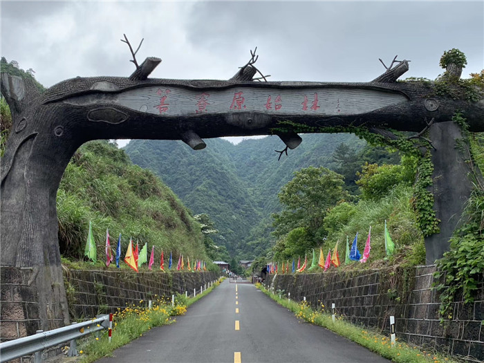 箬寮原始林景区